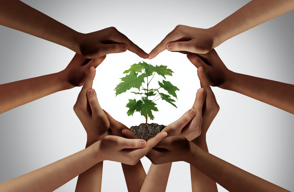 Join wellmee.com: 10 Reasons Holistic Wellness Practitioners Should Sign Up Today