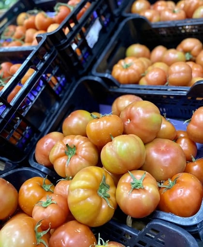 Tomate Salada kg