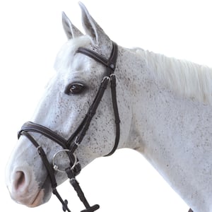 Imagem do produto Cabeçada Bridão Canter ORNELLA