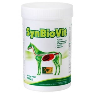 Imagem do produto SynBioVit 900gr