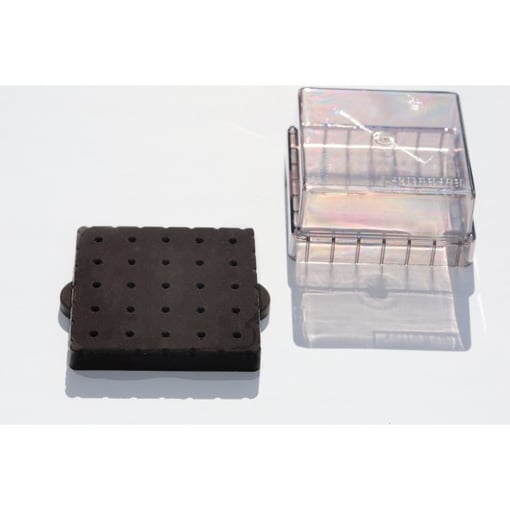 BURBUTLER Broqueiro Preto com 25 Furos