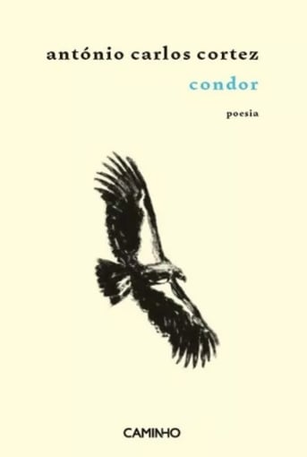 Condor – Poesia que Vo(a) na Fronteira do Sagrado