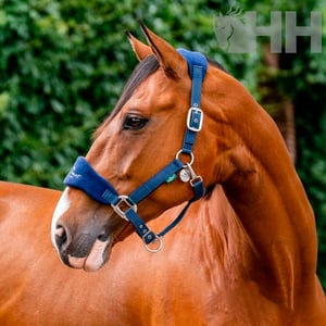 Imagem do produto Cabeção Nylon Signature - Horseware