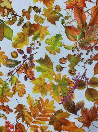 Anti-Nódoas Estampado Nozes e Folhas de Outono