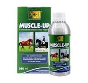 Imagem do produto Muscle Up 960ml