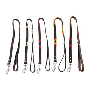 Imagem do produto Trela para cão argentina