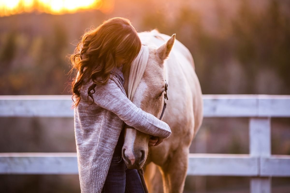 Comunidade no Cantinho do Cavalo: Fomentando a Paixão Equestre
