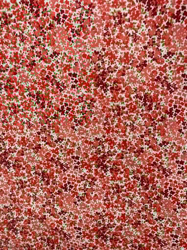 Plastificado