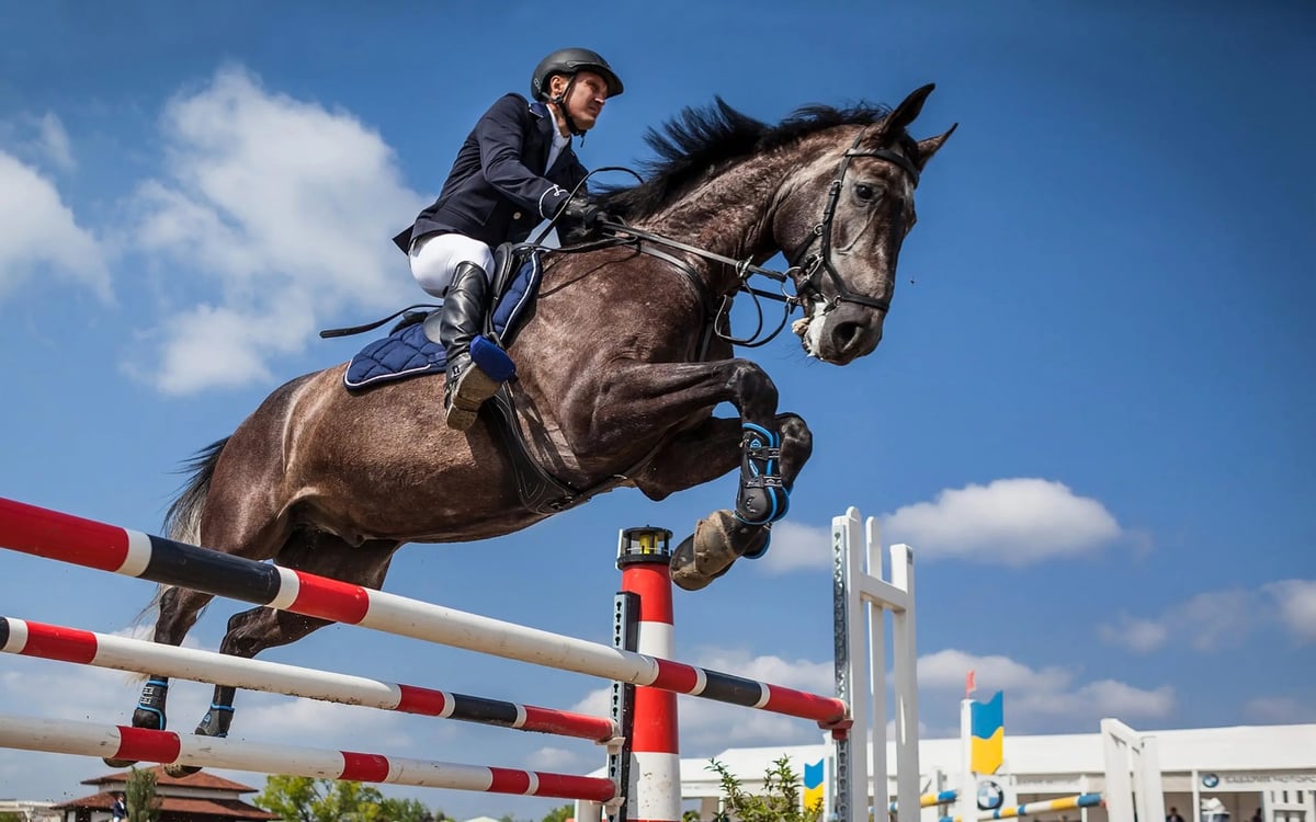 Cantinho do Cavalo: Sua Escolha em Produtos Equestres