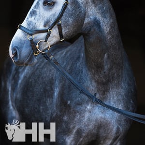 Imagem do produto Rédeas de Borracha - Horseware Micklem 2