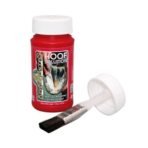 Imagem do produto Higienizador de Cascos 150ml Kevin Bacon