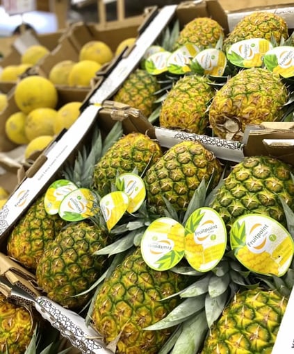 F9A74CC2-BFB0-4E35-A9BC-E1C4BB95C05F