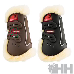 Imagem do produto Caneleiras Frente Zandona Carbon Air Sensitive + P/Pony