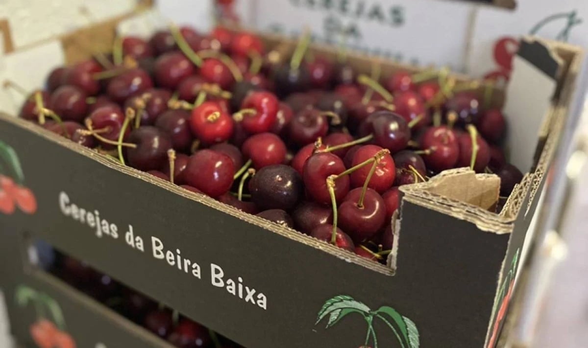 Onde comprar cerejas baratas?