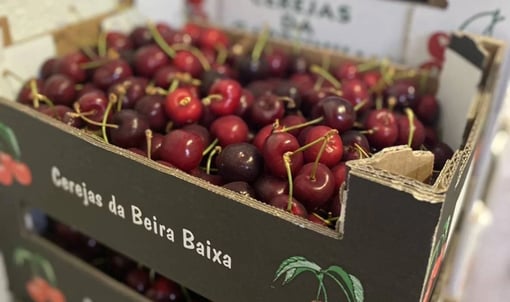 Onde comprar cerejas baratas?