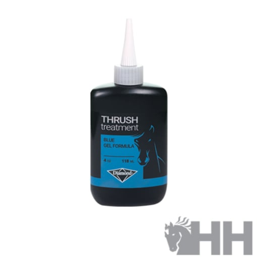 Higienizador de Cascos 118ml Diamond-1145-878