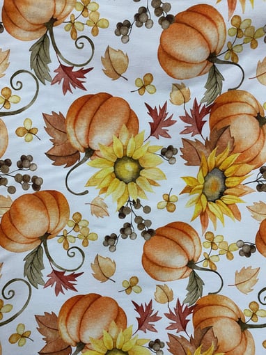 Alfa Panamá Abóboras e Girassol