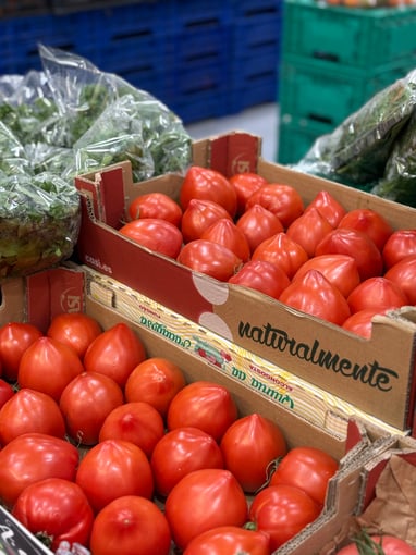 Tomate coração de boi