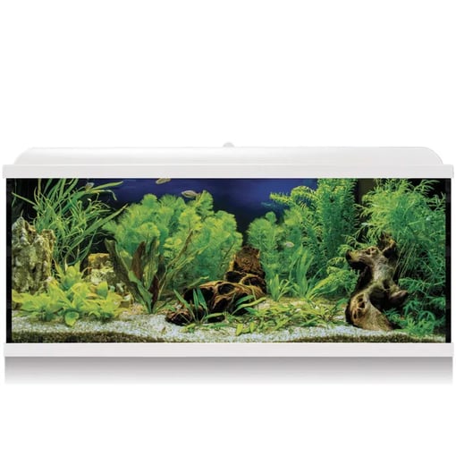 Transforme seu Espaço com o Kit de Aquário Aqualed LED – Até 130L