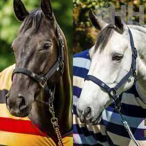 Imagem do produto Cabeção Nylon C/Prisão - Horseware