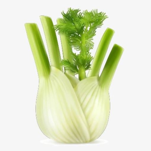 pngtree-celery-png-clipart_953916