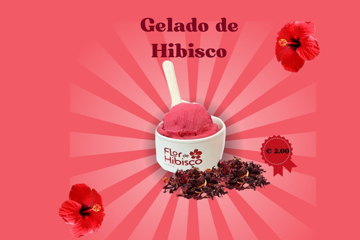 Gelado de Hibisco – O Sabor Artesanal que Encanta em Massamá!