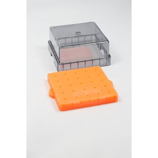 BURBUTLER Broqueiro Laranja com 25 Furos-37-941