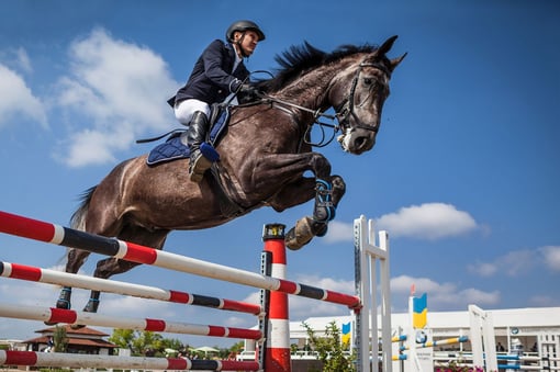 A História Equestre em Portugal: De Tradição à Modernidade