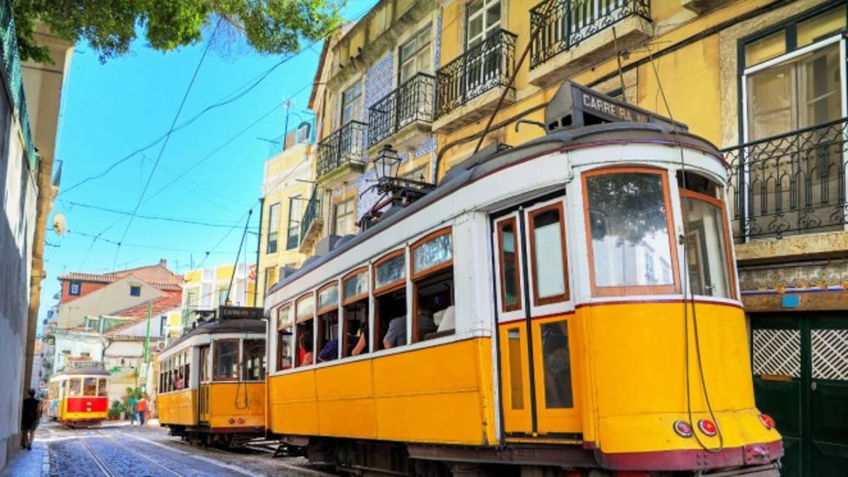 Sabores de Lisboa: Um Passeio Gastronômico pela Amadora