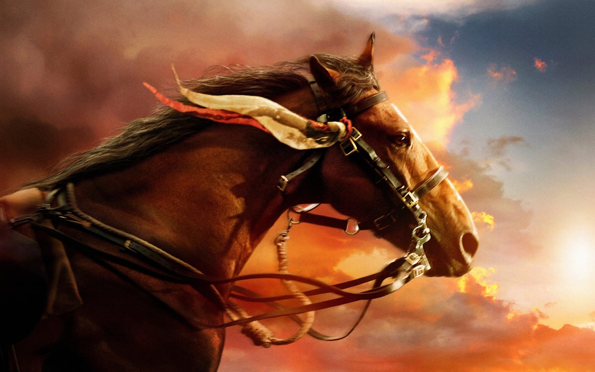 Eventos Especiais no Cantinho do Cavalo