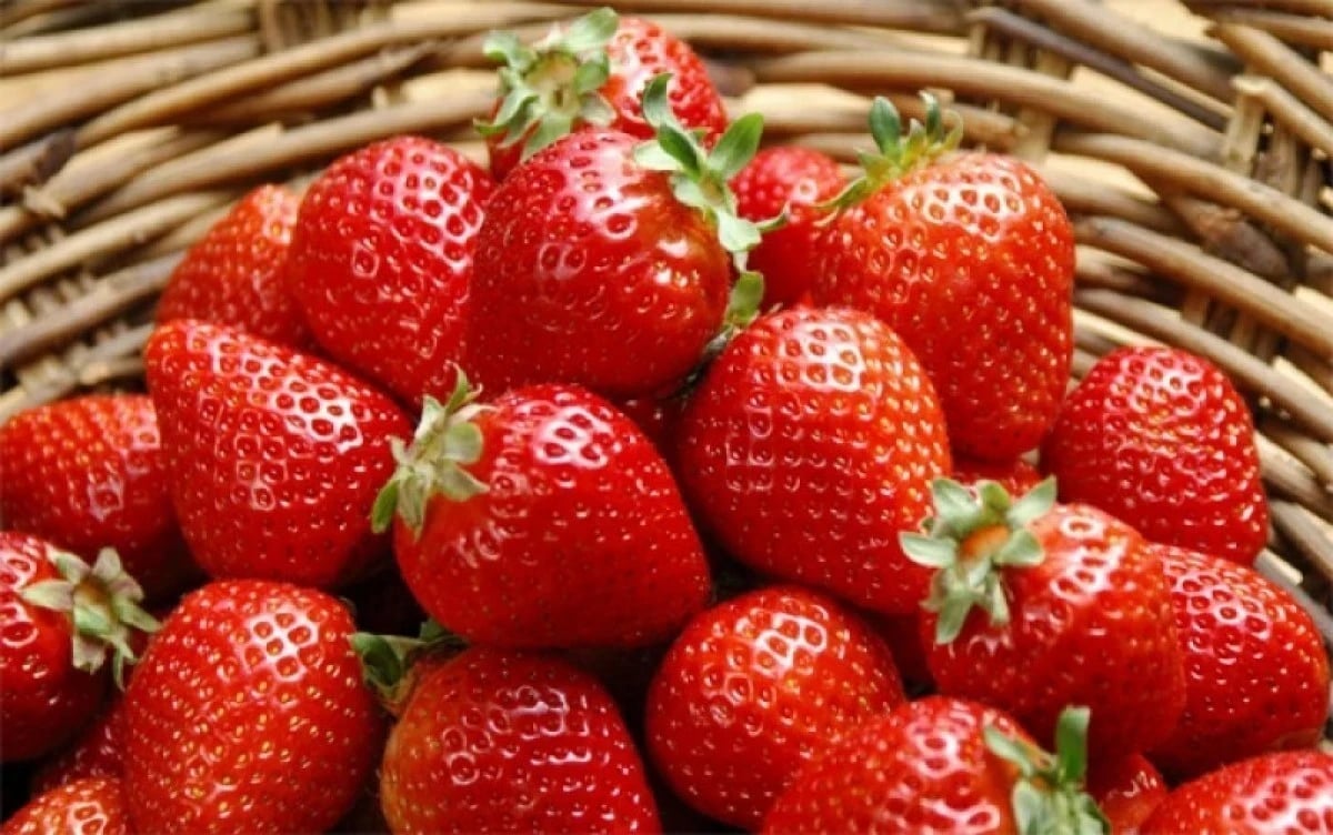 FRUTAS RICAS EM FERRO