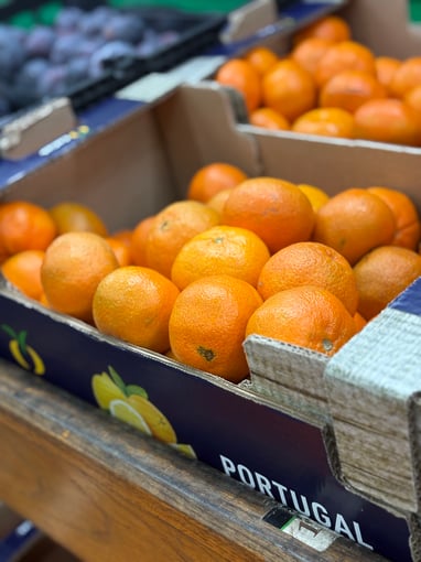 Clementina ancore kg-509-908