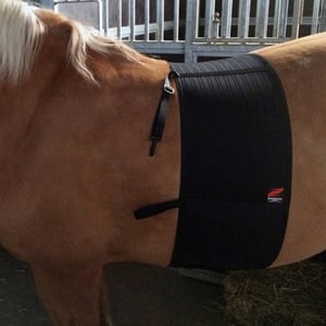 Imagem do produto Cinta Protetora p/esporins Zandona