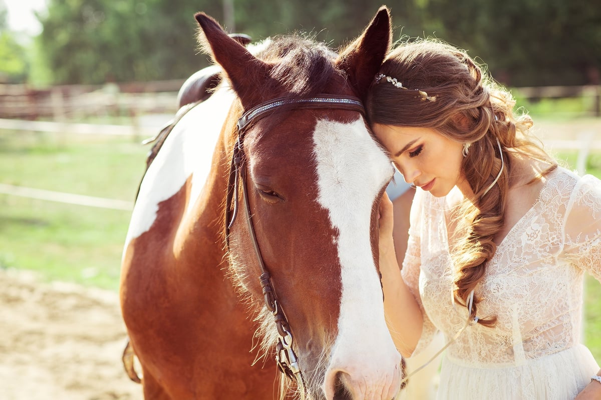 Dicas Essenciais para o Cuidado Diário do Seu Cavalo