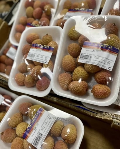 47E6548F-C245-4C9F-9E9E-49B74EA2A6AD