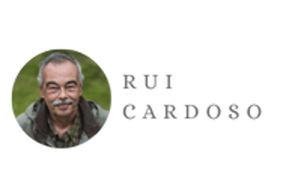 Rui Cardoso