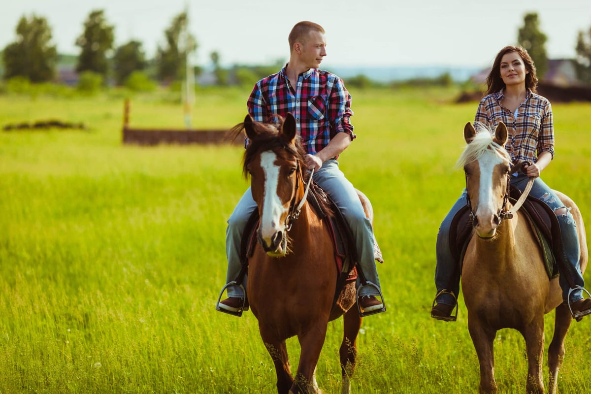 Equipe do Cantinho do Cavalo: Paixão e Expertise