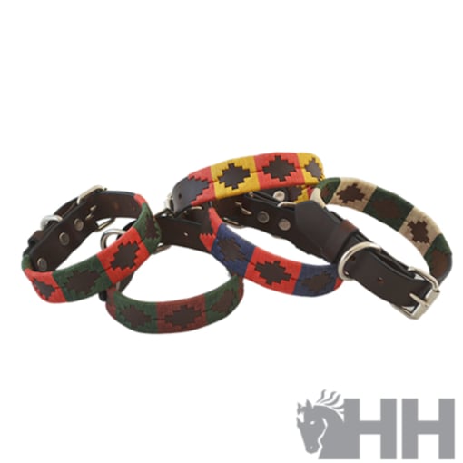 Coleira de Cão Argentina-1169-992