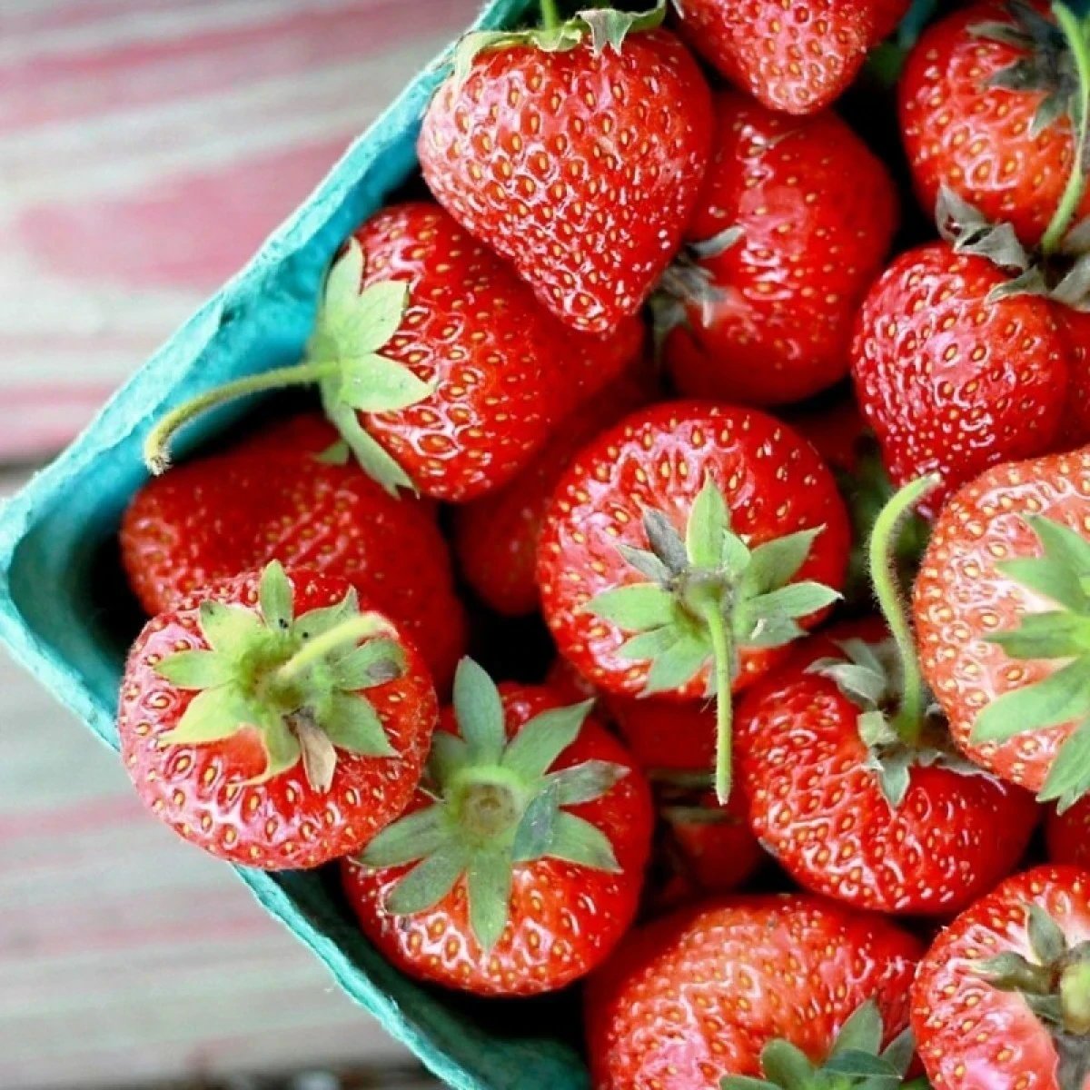 Curiosidades sobre o Morango