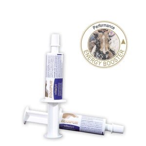 Imagem do produto Vitalyt 60gr - Equipur