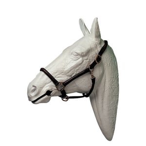 Imagem do produto Cabeção Couro - HH