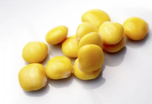 Tremoços 500G