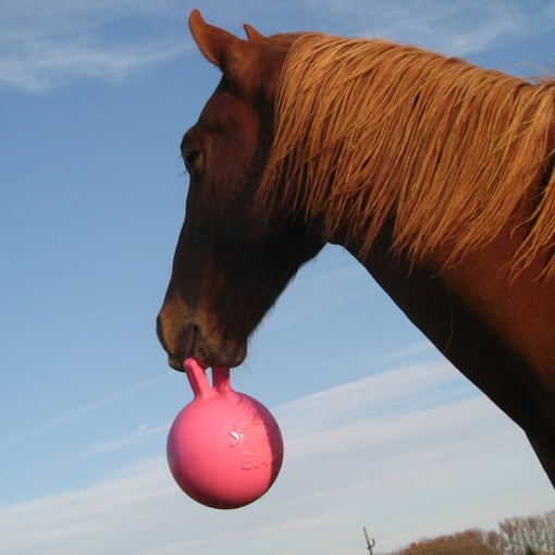 jolly-ball-cb49de.jpg