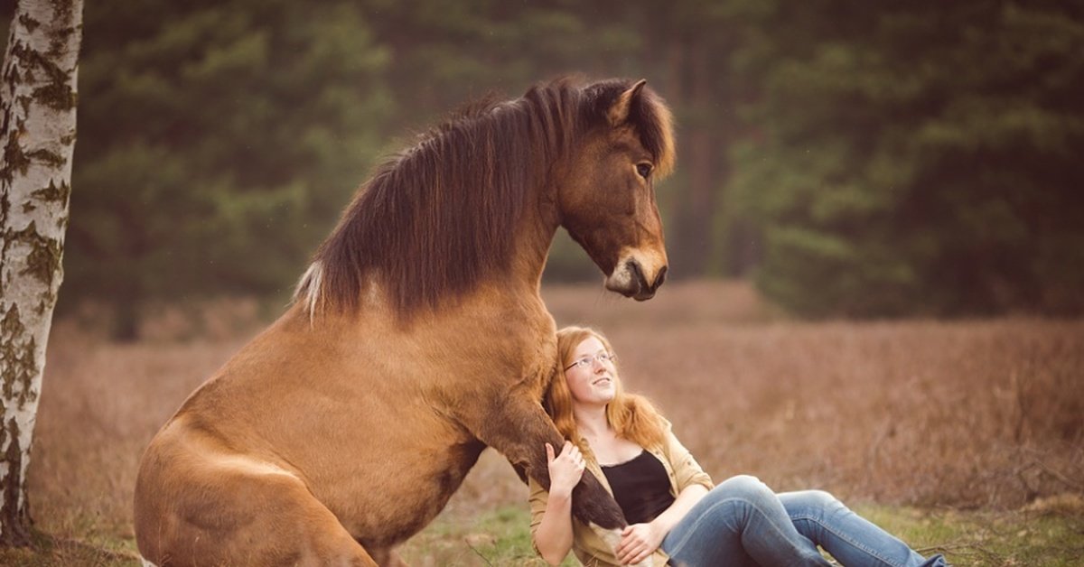 Nutrição Equina: A Base para o Desempenho e Bem-Estar dos Cavalos