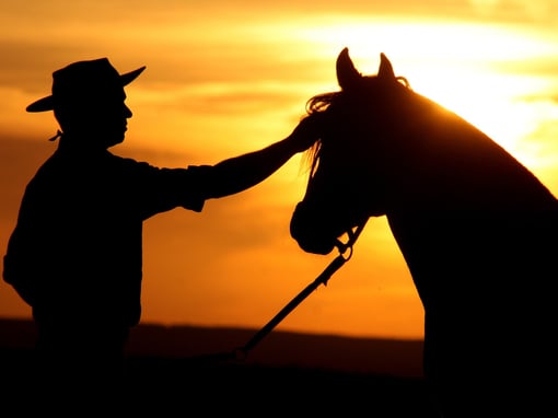 Diferenciais do Cantinho do Cavalo: Qualidade personalizado