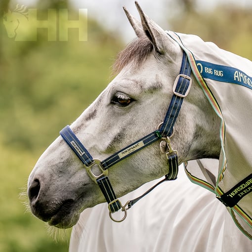 Imagem do produto Cabeção Nylon Field - Horseware