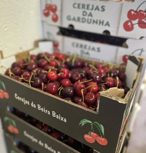 0EF809C4-EA35-460B-A4AF-191946B69731