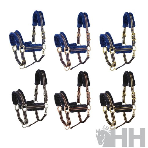 Imagem do produto Cabeção Nylon Lexhis Deluxe