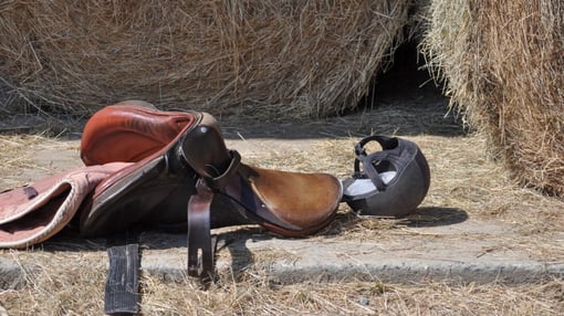 Rui Oliveira: O Mestre Correeiro e a Arte de Trabalhar o Couro