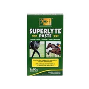 Imagem do produto Electrolites Superlyte Seringa 3X70gr